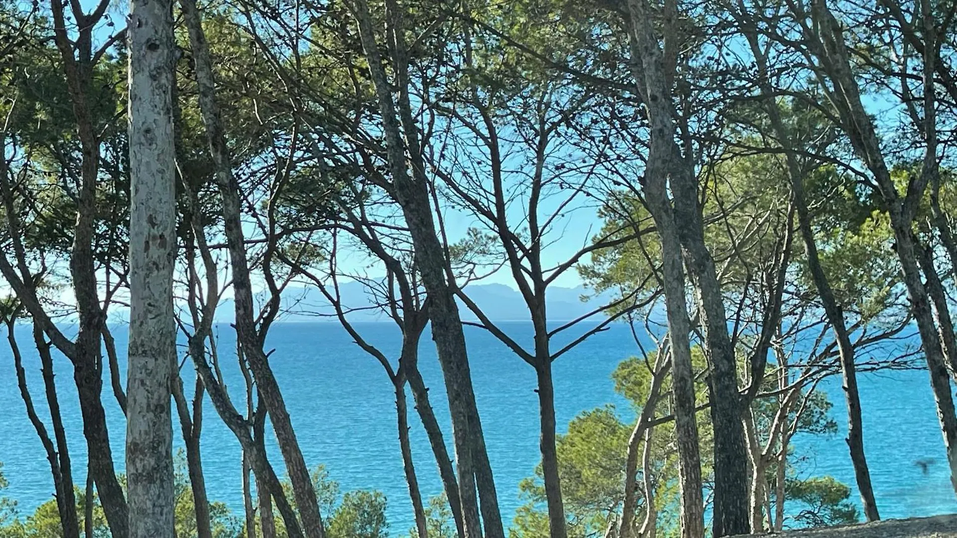 Cap Salou Mar Apartment