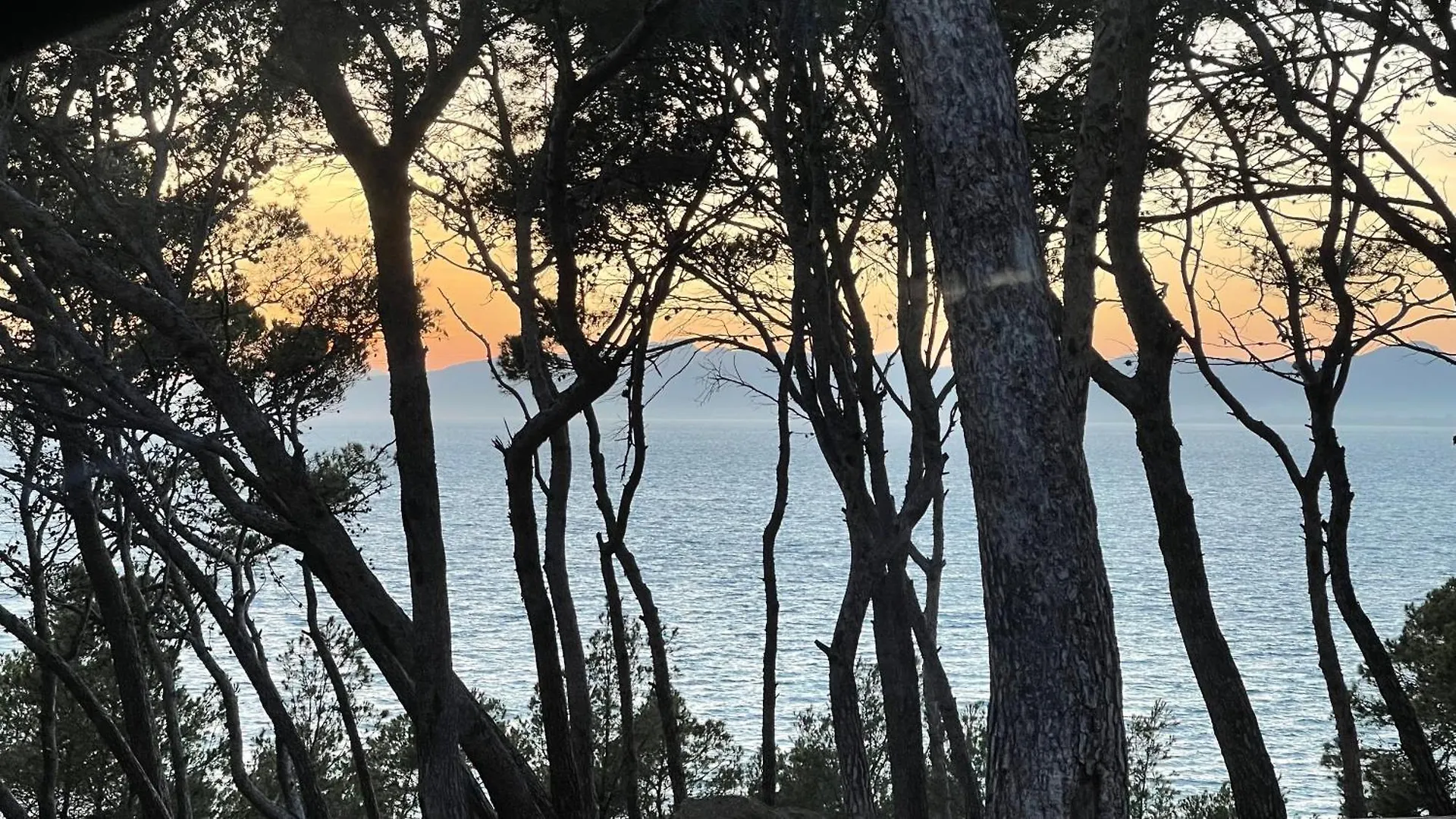 Cap Salou Mar Apartment